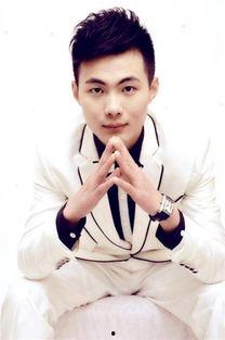 陈禹岍个人资料,才华横溢的青年才俊，多领域成就斐然